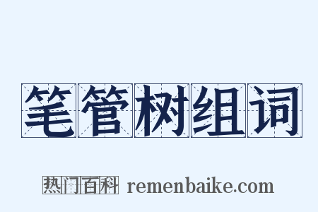 笔管树组词是什么意思的图片